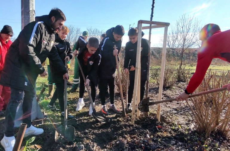 zeleni sisak_sadnja stabala